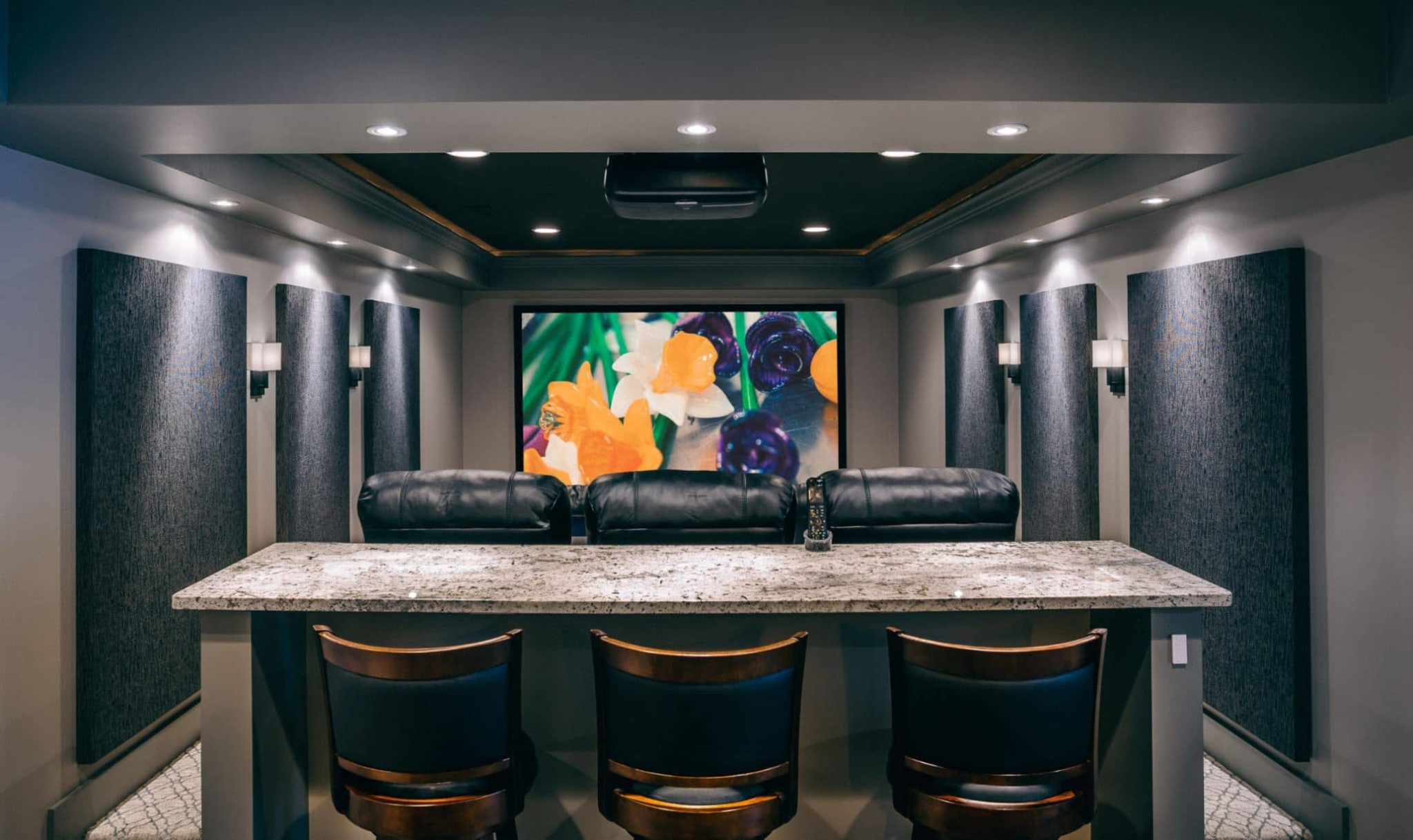 Home Theaters and Multipurpose Rooms Casaplex